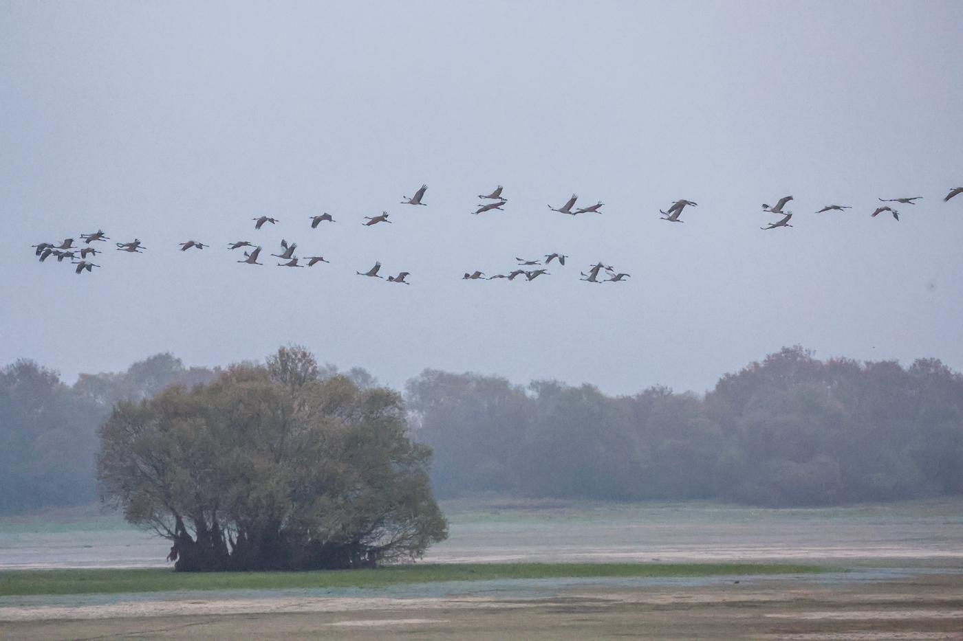 JN-Lehec-Montier-en-Der-2021-50